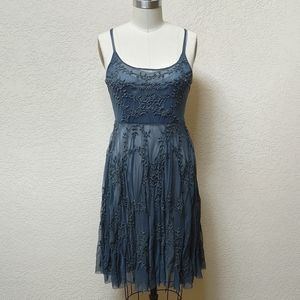 Biya mesh embroidered dress